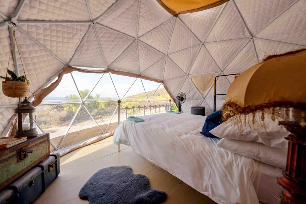 Starry Starry Night - Route 62 Villa Montagu Ngoại thất bức ảnh